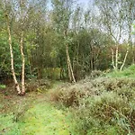 別荘 10139-ulfborg-kjaergaardvej-35 Ulfborg