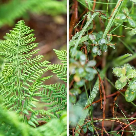 10139-ulfborg-kjaergaardvej-35 *