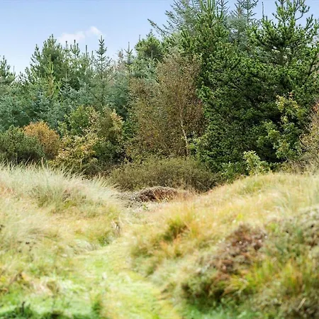 10139-ulfborg-kjaergaardvej-35 別荘 *