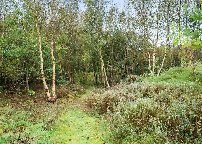 Vakantiehuis 10139-ulfborg-kjaergaardvej-35 Ulfborg